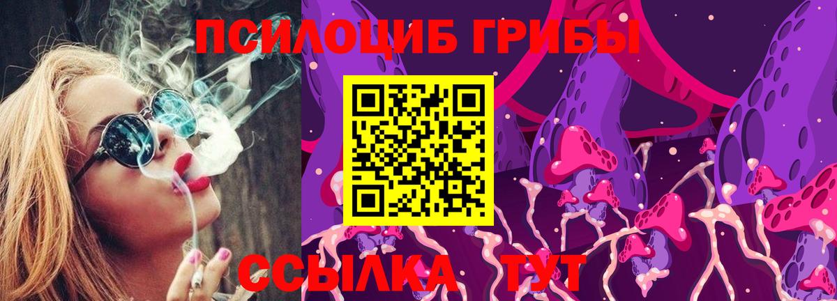 Псилоцибиновые грибы Cubensis Саранск