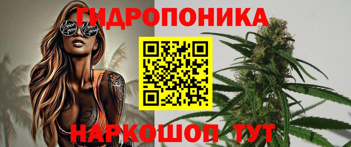Каннабис VHQ Саранск